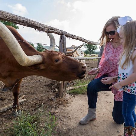 Wildcatter Ranch And Resort Graham ภายนอก รูปภาพ