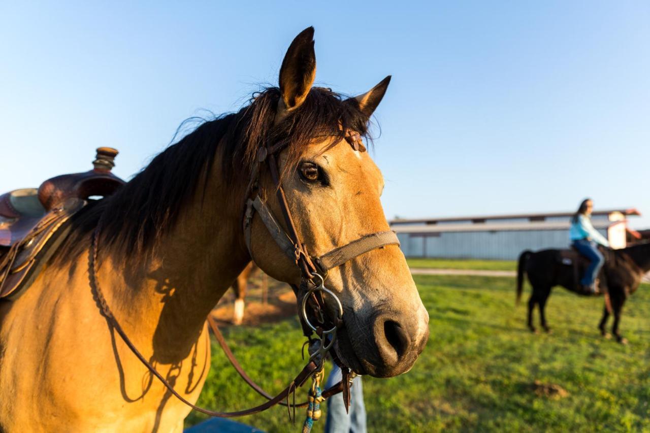 Wildcatter Ranch And Resort Graham ภายนอก รูปภาพ