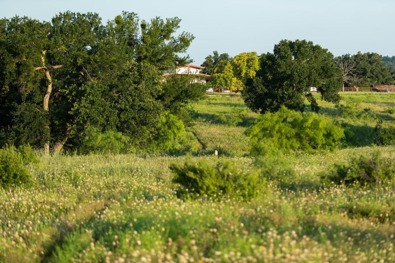 Wildcatter Ranch And Resort Graham ภายนอก รูปภาพ