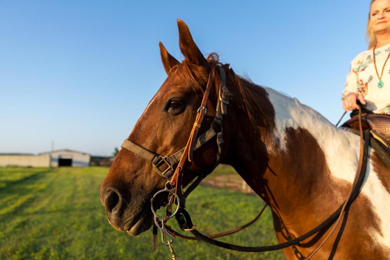 Wildcatter Ranch And Resort Graham ภายนอก รูปภาพ